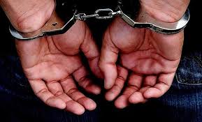 13.6 மில்லியன் ரூபா பெறுமதியான கையடக்கத் தொலைபேசிகளுடன் கட்டுநாயக்கவில் 3 தொழிலதிபர்கள் கைது!